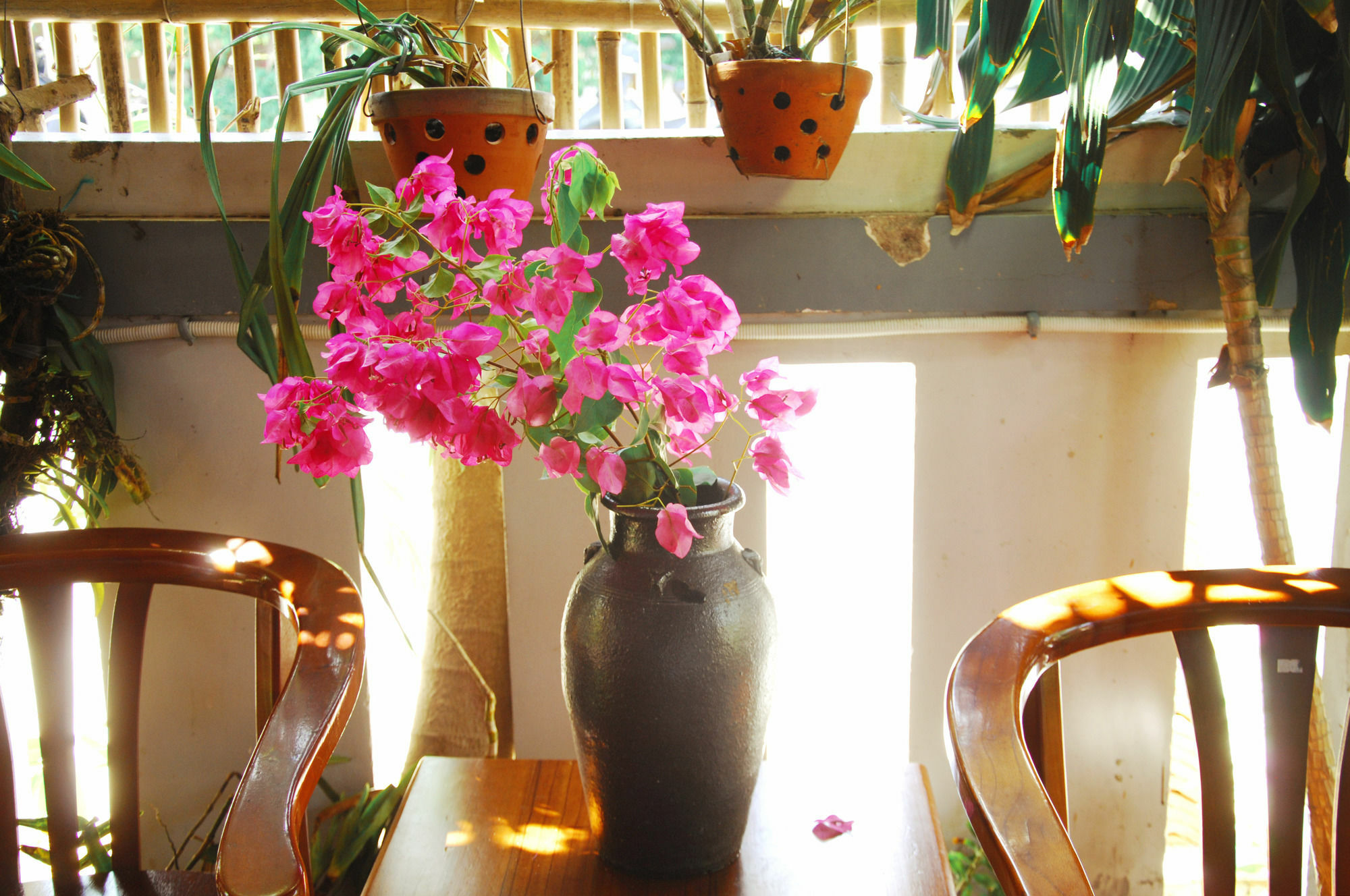 Seaside An Bang Homestay Hoi An Eksteriør billede